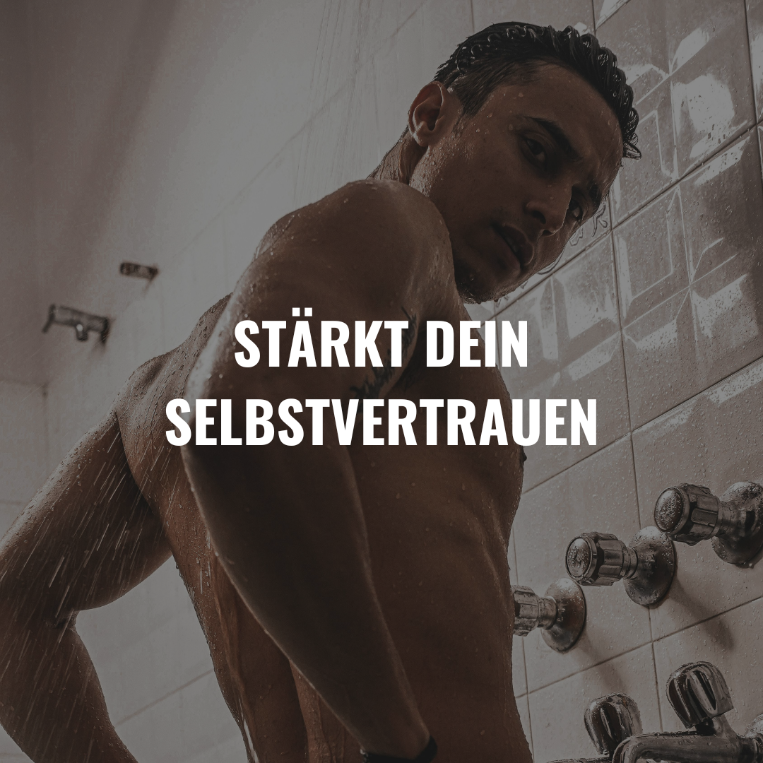 Der Zähmer 2.0