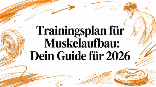 Trainingsplan für Muskelaufbau: Dein Guide für 2026